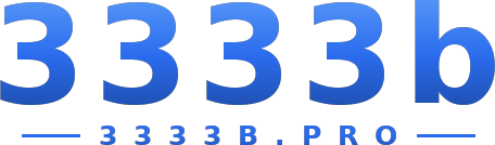 3333b logo